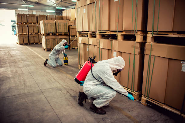 Best Bed Bug Extermination  in Dublin, GA