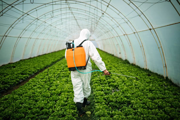 Best Pest Control for Businesses  in Dublin, GA
